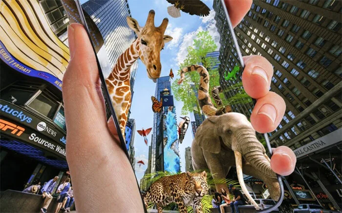 Concrete Jungle